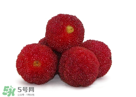 吃完楊梅不能吃什么？吃完楊梅可以吃別的水果嗎？