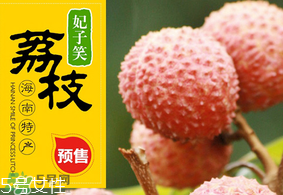 妃子笑荔枝多少錢一斤？2017妃子笑荔枝價格