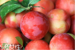 ?楊梅和李子能一起吃嗎？楊梅和李子一起吃會(huì)中毒嗎？