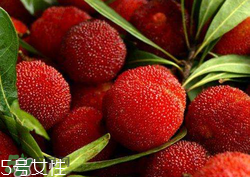 ?楊梅和李子能一起吃嗎？楊梅和李子一起吃會(huì)中毒嗎？