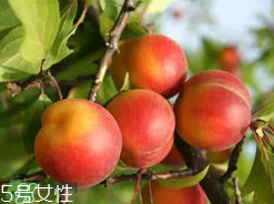 ?楊梅和李子能一起吃嗎？楊梅和李子一起吃會(huì)中毒嗎？