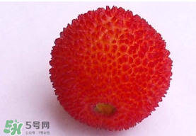 楊梅籽可以吃嗎？吃楊梅籽有什么好處？