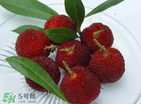 楊梅籽可以吃嗎？吃楊梅籽有什么好處？