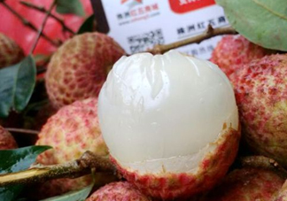 白糖罌荔枝怎樣保果的？白糖罌荔枝和白蠟的區(qū)別