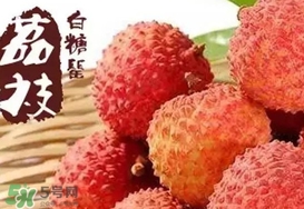 白糖罌荔枝多少錢一斤2017？白糖罌荔枝價格