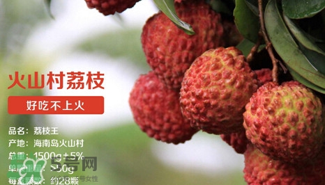 荔枝王是什么品種？荔枝王多少錢一斤2017？