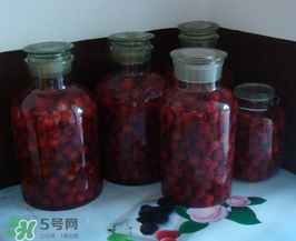泡楊梅酒用什么瓶子？楊梅酒可以用塑料瓶泡嗎？