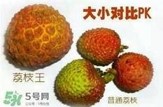 荔枝王好吃嗎？荔枝王和妃子笑的區(qū)別