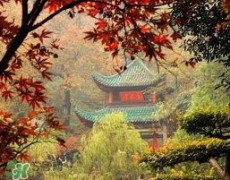 7月份去長(zhǎng)沙穿什么？七月份去長(zhǎng)沙穿什么衣服