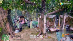 諜紙?zhí)煅酆屯鸂I有什么關(guān)系？