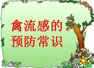 6月有禽流感嗎？2017年6月有禽流感嗎？