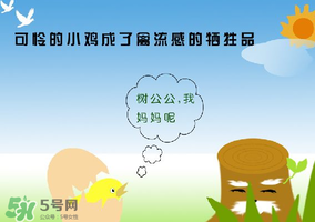 6月有禽流感嗎？2017年6月有禽流感嗎？