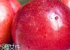 桃駁李是轉(zhuǎn)基因嗎？桃駁李是不是轉(zhuǎn)基因