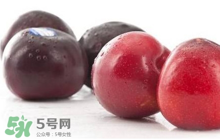 紅布林和黑布林哪個(gè)好？紅布林與黑布林的區(qū)別