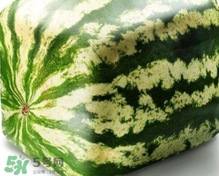 方形西瓜是如何種出來的？方形西瓜是怎么長成的