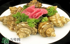 海螺是蒸還是煮？海螺的尾部是黃還是屎