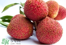 黑葉荔枝和妃子笑哪個(gè)好吃？黑葉荔枝和妃子笑的區(qū)別