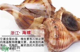 死海螺能吃嗎？死海螺可以吃嗎
