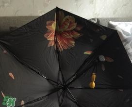 蕉下小黑傘能遮雨嗎？蕉下太陽傘能淋雨嗎？