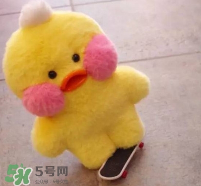 玻尿酸鴨哪里可以買到？一個玻尿酸鴨多少錢？