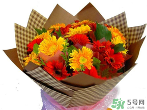 父親節(jié)可以送花嗎？父親節(jié)送什么花最合適？