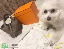 菜籃子包是什么牌子？菜籃子包是哪個(gè)品牌的？
