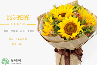 父親節(jié)可以送向日葵嗎？父親節(jié)送向日葵好嗎？
