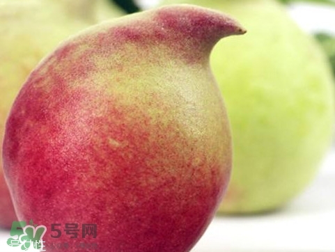 鷹嘴桃種植應(yīng)注意哪些？鷹嘴桃什么時間修剪