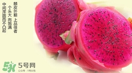 如何識(shí)別紅心火龍果？紅心火龍果怎么分辨
