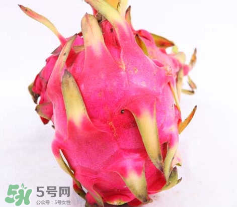 火龍果是酸性還是堿性？火龍果盆栽種植方法