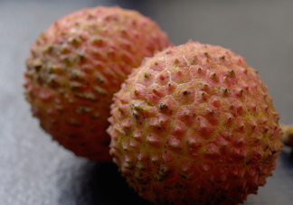 桂味荔枝和妃子笑哪個(gè)好吃？桂味荔枝和妃子笑區(qū)別