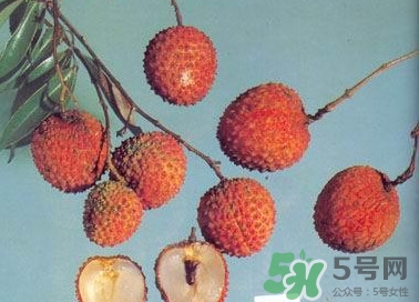 糯米糍荔枝產(chǎn)地是哪里？糯米糍荔枝上火嗎