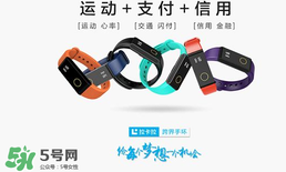 拉卡拉手環(huán)多少錢？拉卡拉手環(huán)價格