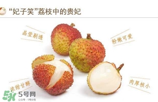貴妃荔枝是哪里的？貴妃荔枝的產(chǎn)地是哪里
