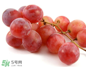 提子上的白色是什么？提子外面白色的是什么？