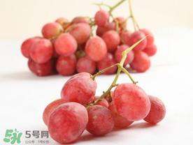 提子上的白色是什么？提子外面白色的是什么？