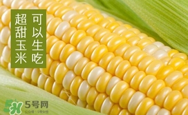 水果玉米是轉(zhuǎn)基因的嗎？水果玉米可以生吃嗎