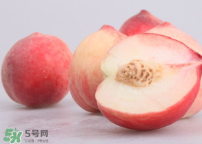 水蜜桃可以和酸奶一起吃嗎？水蜜桃酸奶的做法