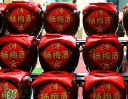 楊梅酒可以帶上高鐵嗎？楊梅酒可以帶上火車嗎？