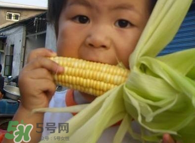 水果玉米是甜玉米嗎？水果玉米和甜玉米的區(qū)別