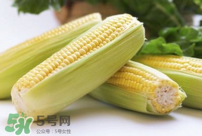 水果玉米可以多吃嗎？吃水果玉米有什么好處
