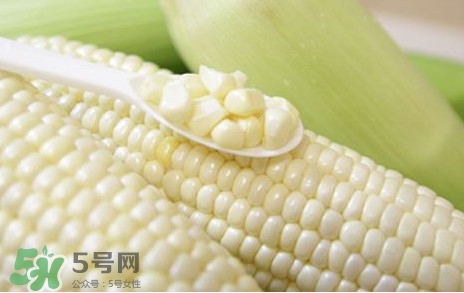 糯玉米是轉(zhuǎn)基因嗎？糯玉米是不是轉(zhuǎn)基因