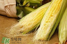 玉米須煮水可以去黃疸嗎？玉米須能去新生兒黃疸嗎