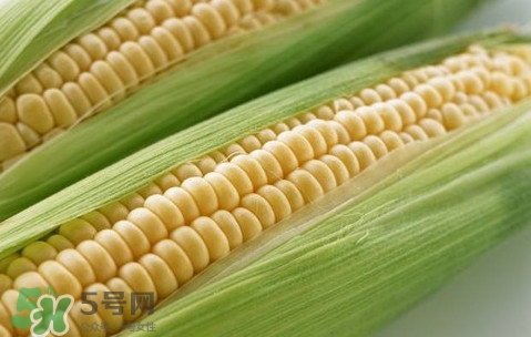 水果玉米熱量高嗎？一根水果玉米的熱量是多少