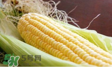 水果玉米可以多吃嗎？吃水果玉米有什么好處