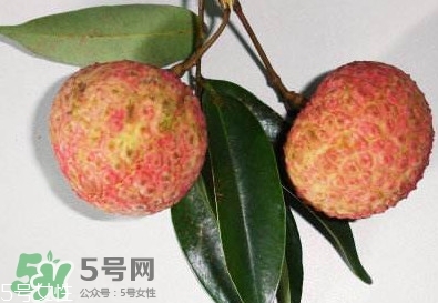 雞嘴荔枝多少錢一斤2017？香山雞嘴荔枝什么價錢