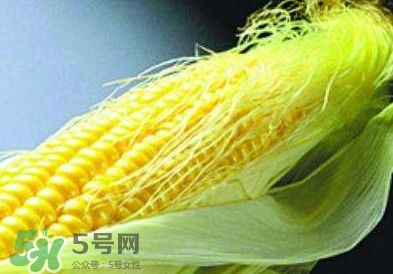 玉米須怎么吃降血糖？玉米須如何降血糖