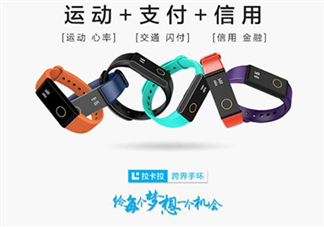 拉卡拉手環(huán)多少錢？拉卡拉手環(huán)價(jià)格