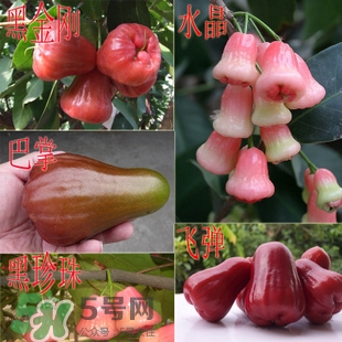 蓮霧什么季節(jié)吃最好？什么品種的蓮霧最好吃