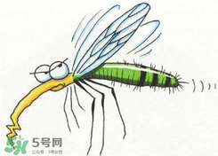 招蚊子是什么原因？招蚊子體質(zhì)怎么辦？